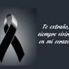 chichecastro81